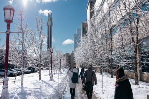 Winter scene on campus